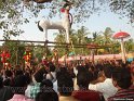 mangad-pooram-2012 (45)